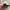 Crewneck grooverhyme warna hijau sage photo 4