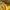 Colorbox Minimalist Casual Blouse Wanita yellow photo 3