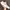 CAT Catterpilar EASE Casual Sneakers Original photo 1