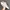 CAT Catterpilar EASE Casual Sneakers Original photo 1
