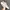 CAT Catterpilar EASE Casual Sneakers Original