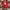 JerseyMancester United photo 2