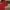 JerseyMancester United photo 4