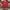 JerseyMancester United photo 1