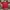 JerseyMancester United