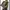 Bershka long sleeve army printed tshirt  photo 3