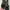 Vans Sk8 Hi Stressed Navya photo 1