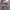 Dickies Streetwear Skater Hat Pria multicolor photo 2