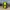 Zeus ZS-813 Grey AN24 Fluo Yellow photo 3