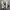 Nike Streetwear Y2K Sneakers Pria white photo 6