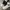 Nike Streetwear Y2K Sneakers Pria white photo 2
