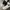 Nike Streetwear Y2K Sneakers Pria White