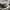 Nike Streetwear Y2K Sneakers Pria white photo 7
