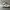 Nike Streetwear Y2K Sneakers Pria white photo 5