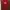 Vans Streetwear Casual T-shirt Pria Burgundy Red