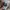 The North Face Streetwear Gorpcore Hat Pria tan photo 4