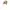 The North Face Streetwear Gorpcore Hat Pria tan photo 2