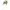 The North Face Streetwear Gorpcore Hat Pria Tan