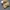 The North Face Streetwear Gorpcore Hat Pria tan photo 3