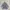 Sweet Mind Puffer Jacket Woman Used
