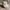Vintage RopeHat MALLARD CREEK by Richardson photo 5