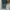 DSQUARED2 Streetwear Luxury Skinny jeans Wanita blue photo 5