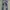 DSQUARED2 Streetwear Luxury Skinny jeans Wanita blue photo 7