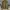 Vintage 60’s Germany “Rosigkeit” Military Jacket photo 6