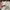 AIRPODS  photo 2