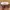 AIRPODS photo 4