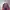 Gorpcore Blackface