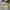 Converse Allstar Hi White Zipper photo 1