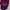 Mididress Yukensi Accent PL photo 5
