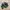 Adidas Casual Sneakers Pria green red photo 1
