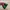 Adidas Casual Sneakers Pria green red photo 6