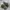 Newbalance 1906 R Cordura Pack Olive