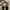 Newbalance 1906 R Cordura Pack Olive photo 7