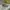 Newbalance 1906 R Cordura Pack Olive photo 1