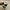 Adidas Casual Sneakers Pria green white photo 6