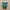 Adidas Casual Sneakers Pria green white photo 3