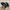 Adidas Casual Casual shoe Pria white black photo 4