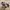 Adidas Casual Casual shoe Pria multicolor photo 4