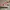 Nike Y2K Sneakers Pria multicolor photo 2