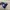 Adidas Casual Casual shoe Pria navy photo 6