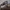 Vans Streetwear Skater Sneakers Pria white black photo 1