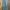 OSJ BLUE JEANS photo 2