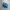 Adidas Casual Sneakers Pria Blue