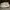Vans Streetwear Skater Sneakers Pria white cream photo 4