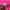 Versace Luxury Blazer Wanita pink photo 5