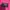 Versace Luxury Blazer Wanita pink photo 6
